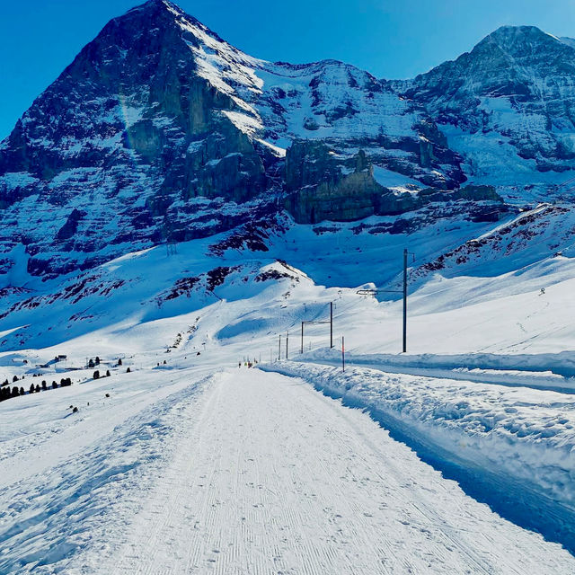 Ski Grindelwald Now🏔️ Ski Grindelwald Now🏔️