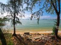 Where the Tide Carries Distant Hills