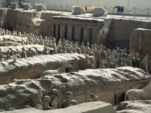 🌟 A Day at the Terracotta Warriors — One of the World’s Greatest Archaeological Wonders 🌟
