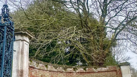 A British educational journey begins in a century-old manor. — traveler post in Ipswich