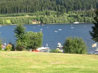 Titisee-Neustadt Travel Guide 2026: Top Attractions, Things to Do & Deals |  Trip.com | June 2026