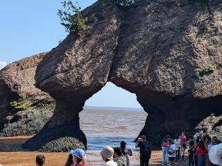 The Timeless Beauty of Hopewell Rocks
