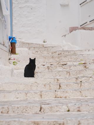 [Greece / Aegean Sea] Hydra Island.