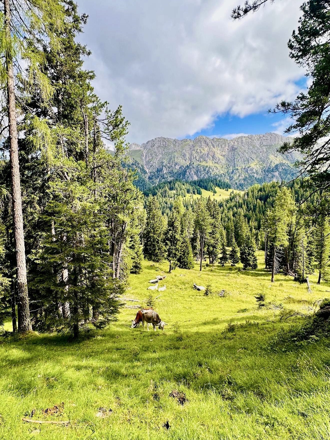 Rekomendasi Jalur Hiking Keluarga di Dolomites, Italia