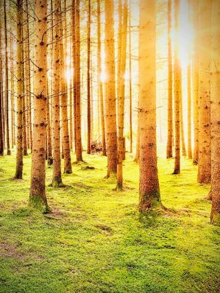アギア・ペラギアと崖の苔が生える岩の入り江：イラクリオンの静かな北の湾easytravelpost 。