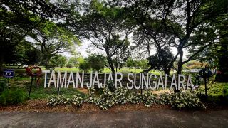 Taman Jajar Sungai Ara: Photo vs Reality