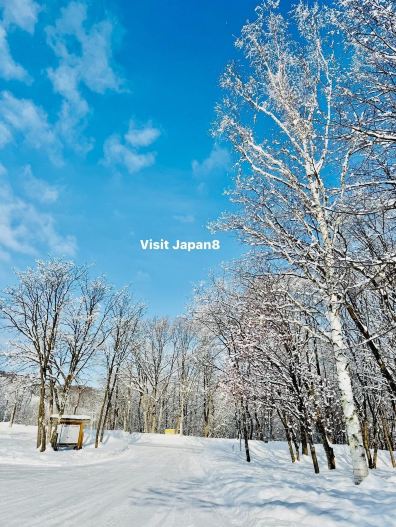 🧀❄️ お店は閉まってた…けど、そこには「アナ雪」の世界のような絶景