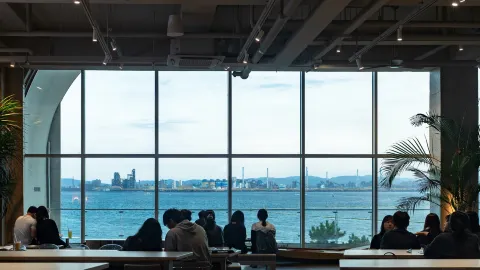 O'Bremen: The Ultimate Ocean View Cafe in Pohang 🌊 — traveler post in Bremen