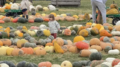 A great weekend farm destination for adults, children, and couples. — traveler post in Simcoe County