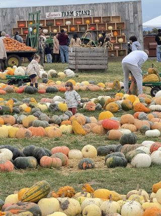 A great weekend farm destination for adults, children, and couples.