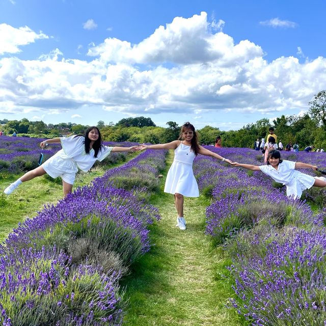 Lost in a sea of lavender 💜🌿 