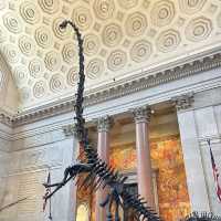 American Museum of Natural History is awesome