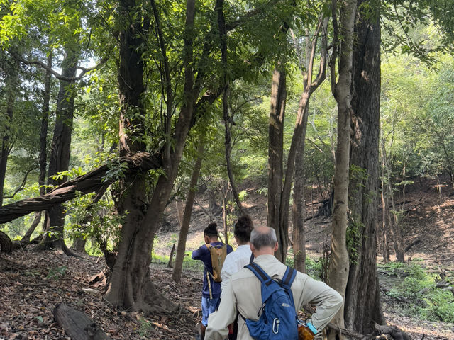 馬瑙斯亞馬遜叢林3天2晚探險旅遊攻略 🏕️