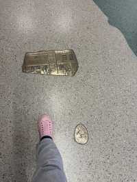 卡加利✈️機場的裝置藝術