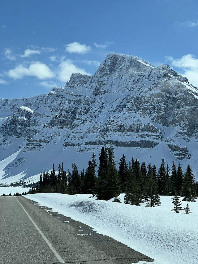 Calgary 8 Days Itinerary