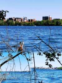 到 Lake Mendota(門多塔湖)徒步