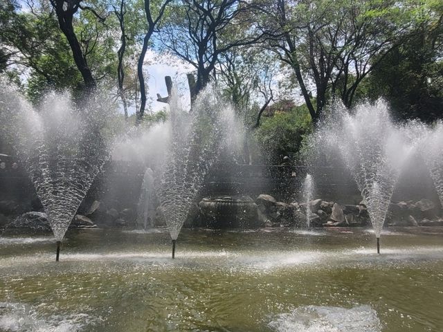  Mexico Adventure