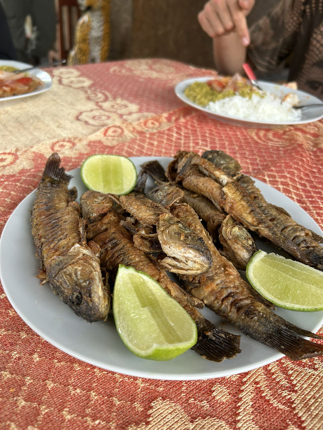 🇵🇪アマゾン川の大自然を体感🦥🦜🐒イキトス発アマゾンツアー
