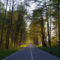 Wampener street … true nature Germany
