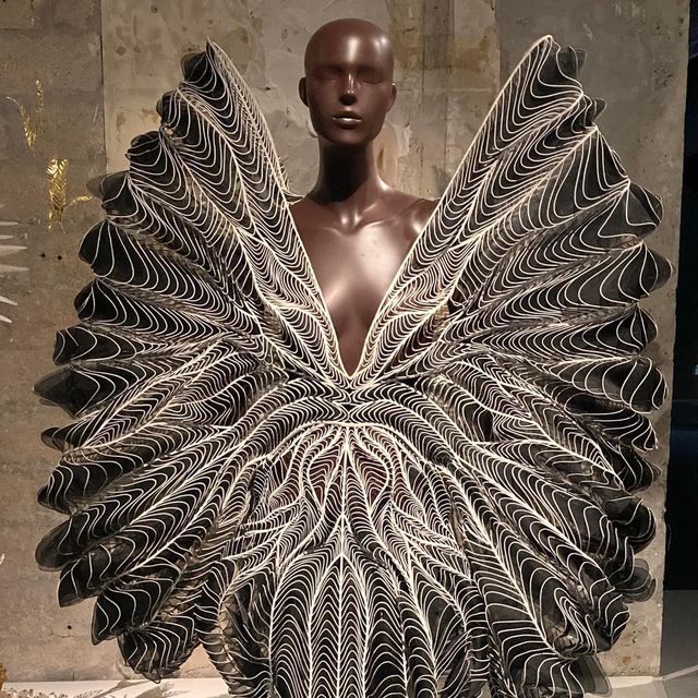 Iris van Herpen in Paris Museum 🗺️