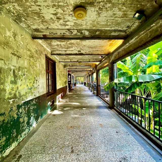 🪁華山1914文創園區🌺創意體現，生活美學的區域✨️
