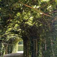 Sanssouci Palace