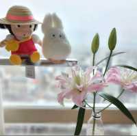 🌸JR Gate Tower Hotel🌸房間看到美麗的城市景色