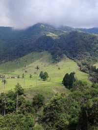 Cocora valley 