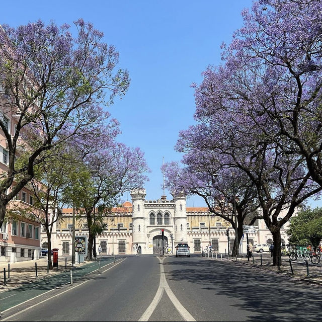 <葡萄牙 Lisbon 🇵🇹> 漫天飛花 💜