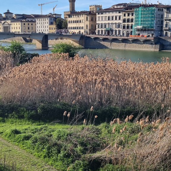 The best view of Florence