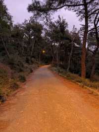Heybeliada: A Peaceful Escape from Istanbul