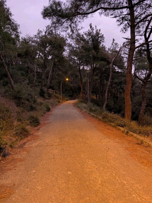 Heybeliada: A Peaceful Escape from Istanbul