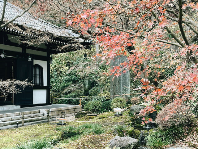 Day Trip from Tokyo to Kamakura: A Journey Through History