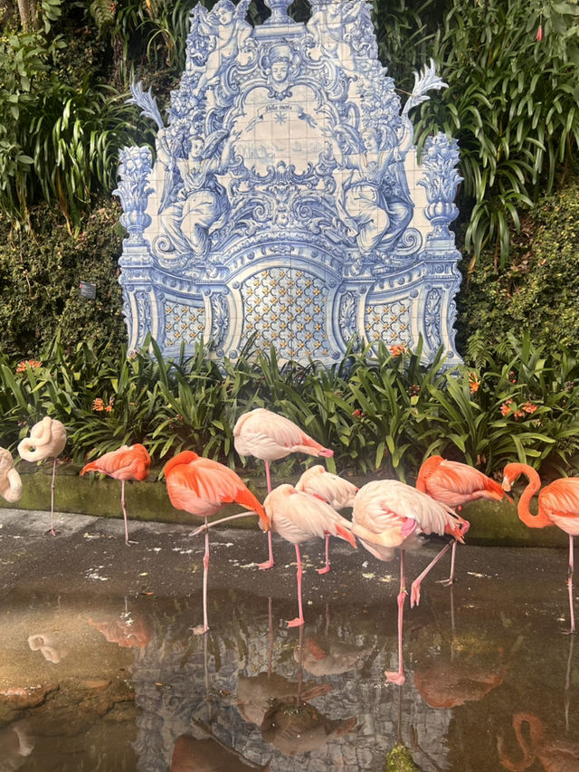 A garden paradise 