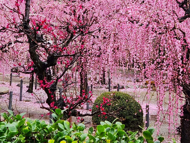 A shrine that enshrines Yuki Munehiro