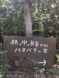 Spring Escape to Banebane no Sato