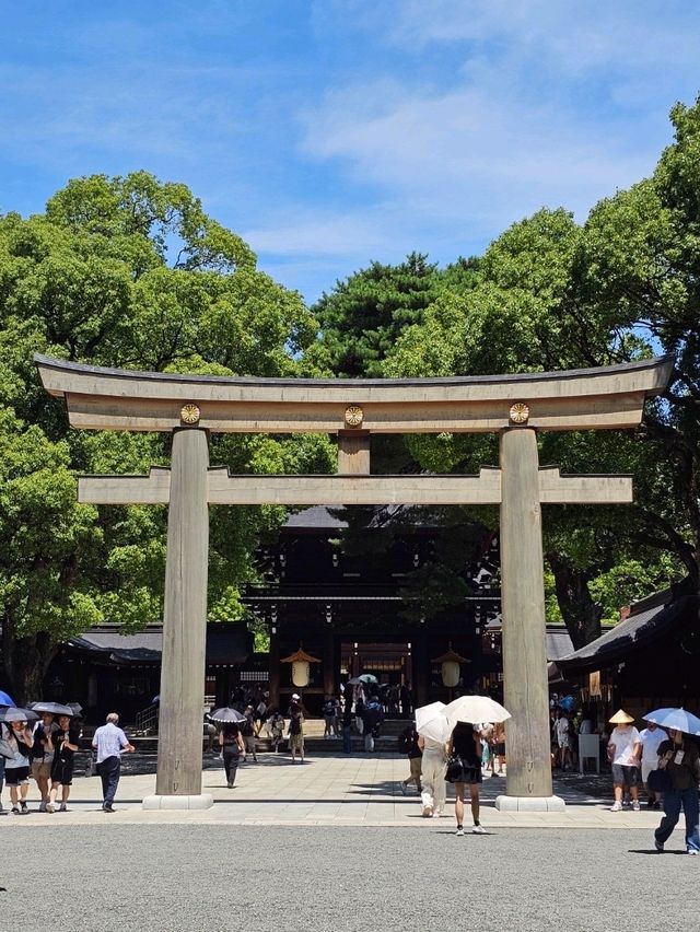 Meiji Jingu: Serenity in the Heart of Tokyo