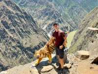 TIGER AWESOME GORGES