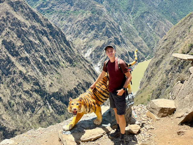 TIGER AWESOME GORGES