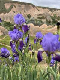 Cappadocia: Rose Valley in Bloom