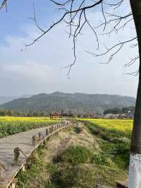 🏮🌿 Anyi Whispers: Step into Jiangxi’s 600-Year-Old Watercolor Dream!