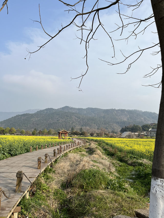 🏮🌿 Anyi Whispers: Step into Jiangxi’s 600-Year-Old Watercolor Dream!