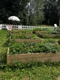 Tsaritsyno countryside 2025