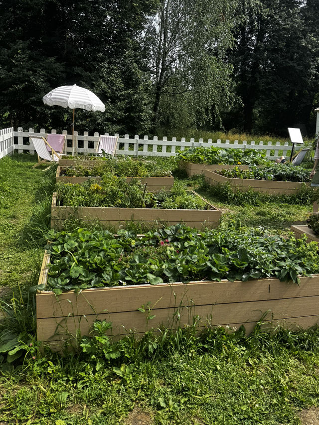 Tsaritsyno countryside 2025