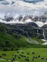 🏔️ Daocheng Yading Scenic Area: A Sacred Shangri-La of China