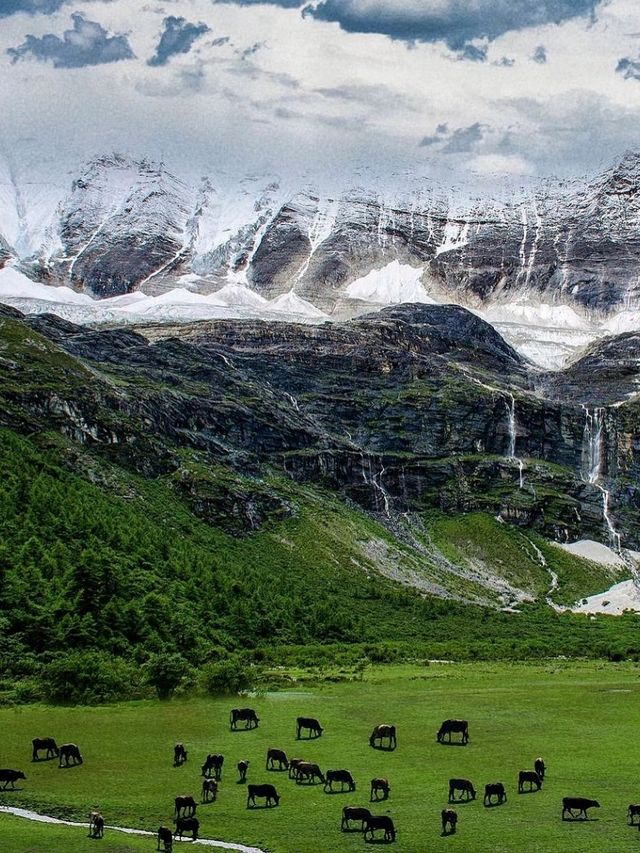 🏔️ Daocheng Yading Scenic Area: A Sacred Shangri-La of China