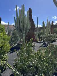 The Cactus Garden in Lanzarote: Volcanic Landscapes, Art, and a Restaurant With a View