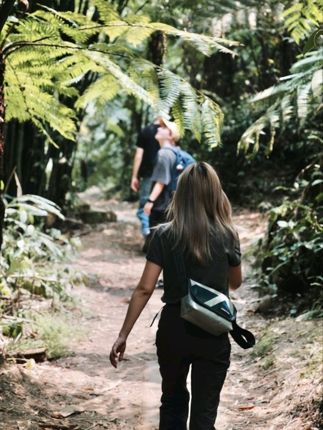 Step into a Prehistoric World: Suoluo Valley’s Jurassic Park Adventure!