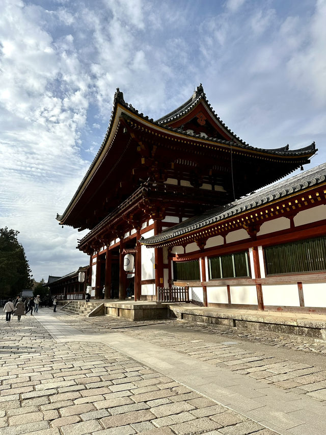 Deer Encounters and Temple Wonders in Nara Park 