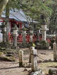 Nara’s Enchanting Shrines & Sacred Deer Encounters